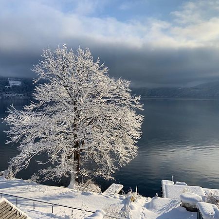 Seehaus Weiss Rothenthurn Dış mekan fotoğraf