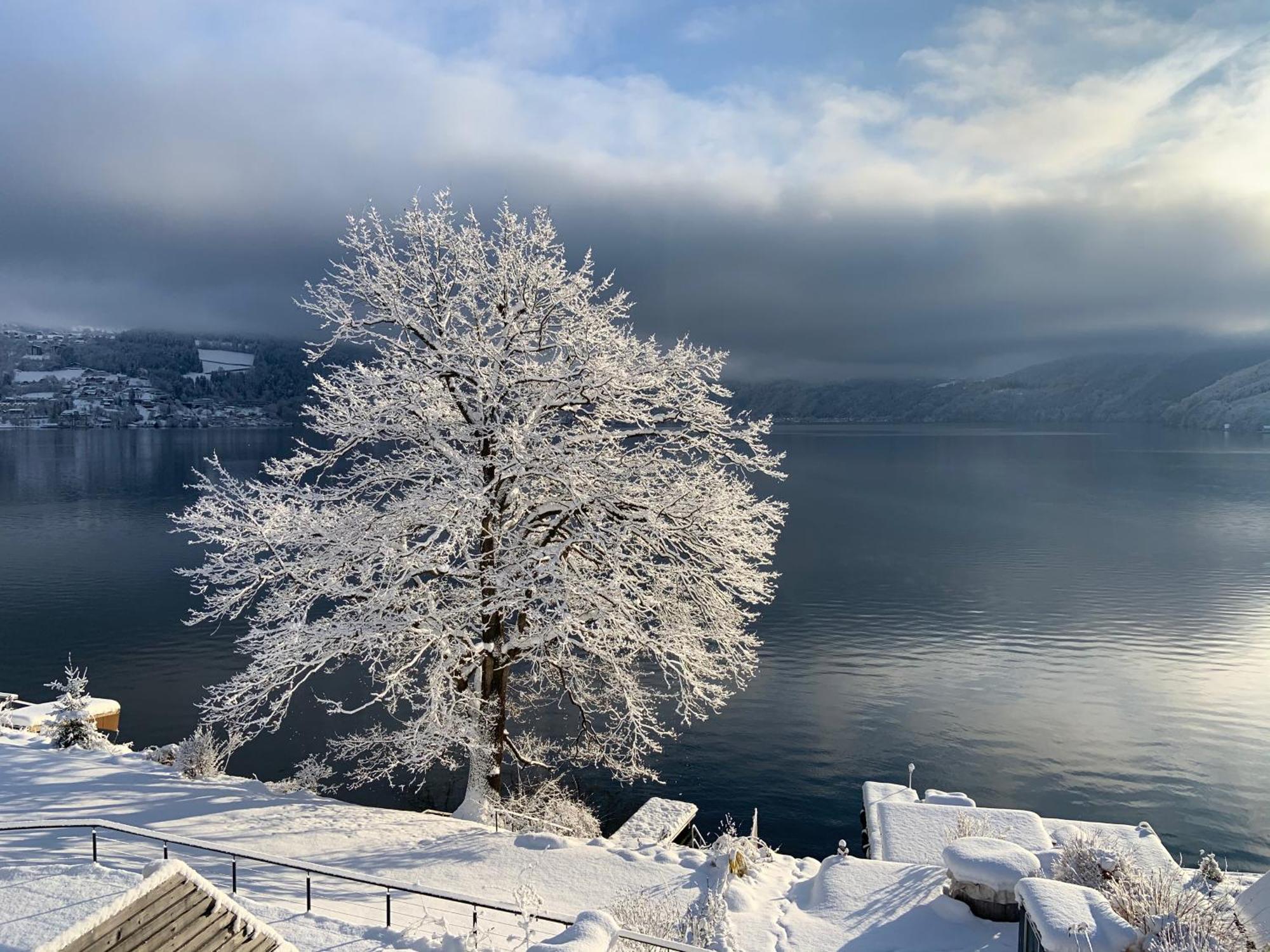Seehaus Weiss Rothenthurn Dış mekan fotoğraf